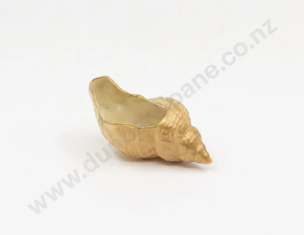 C1909 Royal Worcester Miniature Conch Shell Image 1++