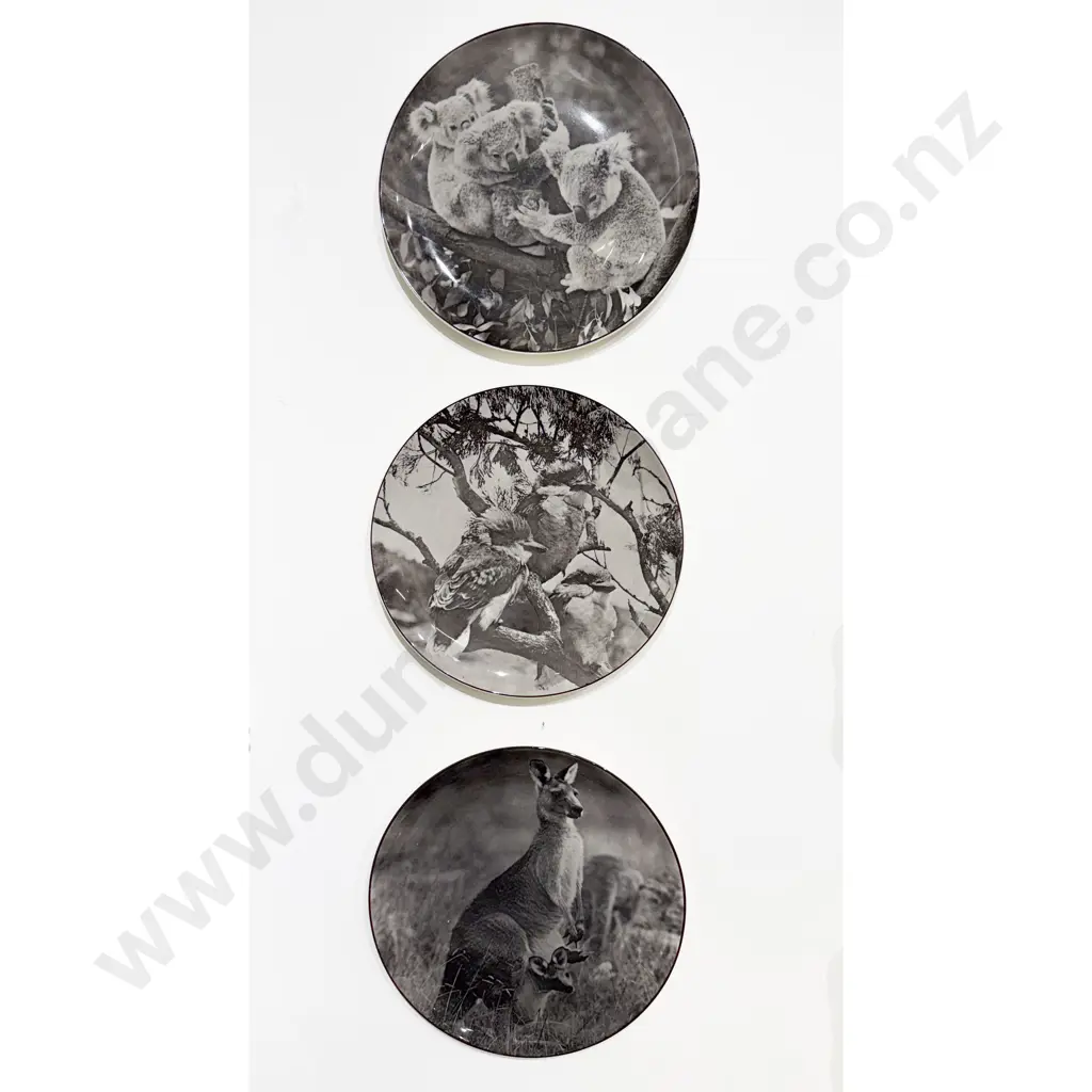 Three Royal Doulton Australian Series Head Rack Plates Koala Kookaburra Kangaroo Image 1++