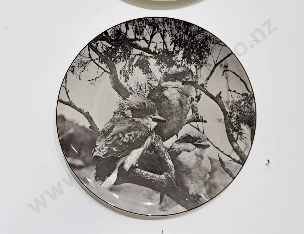 Three Royal Doulton Australian Series Head Rack Plates Koala Kookaburra Kangaroo Image 1++
