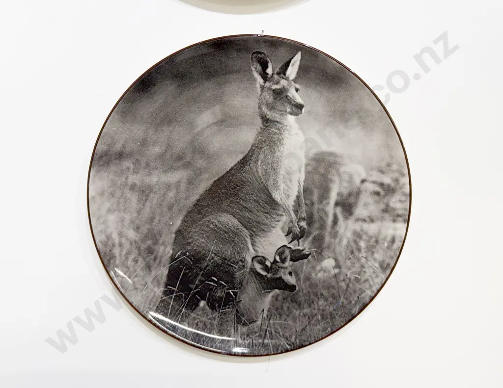 Three Royal Doulton Australian Series Head Rack Plates Koala Kookaburra Kangaroo Image 1++
