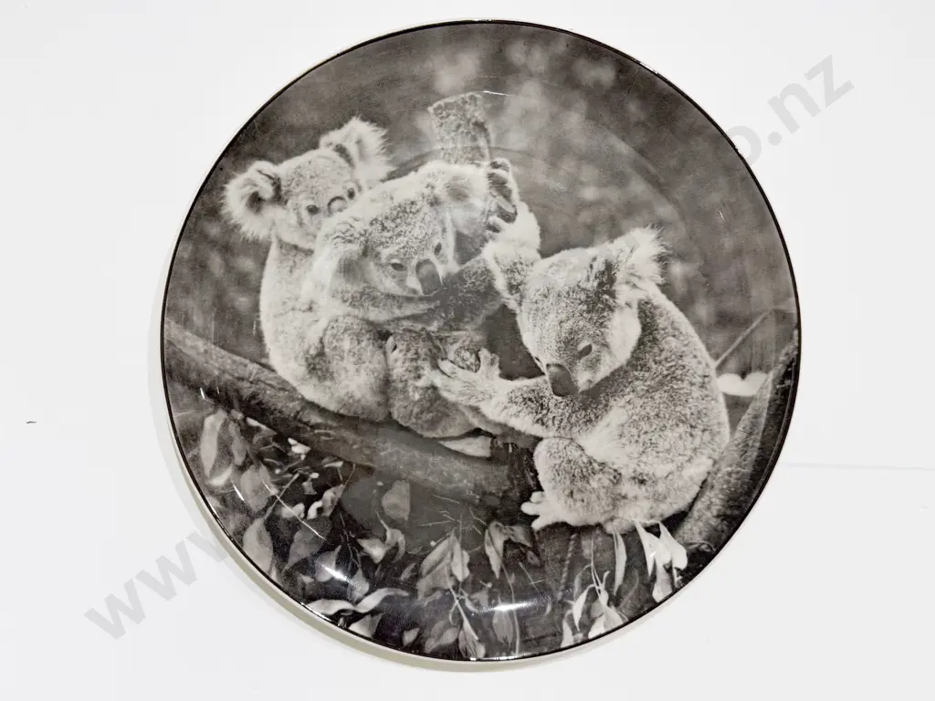 Three Royal Doulton Australian Series Head Rack Plates Koala Kookaburra Kangaroo Image 1++