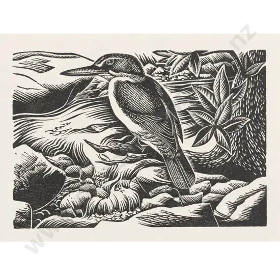 E Mervyn Taylor - Kingfisher
