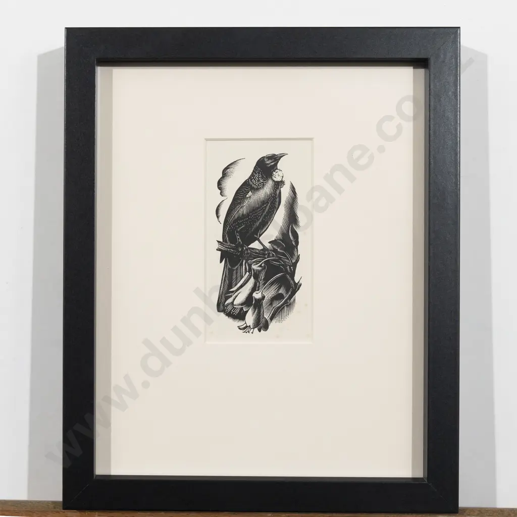 E Mervyn Taylor - Tui Image 1++