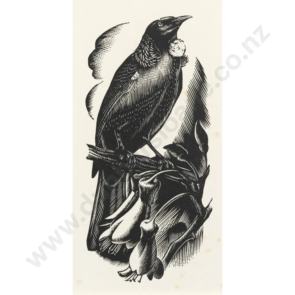 E Mervyn Taylor - Tui Image 1++