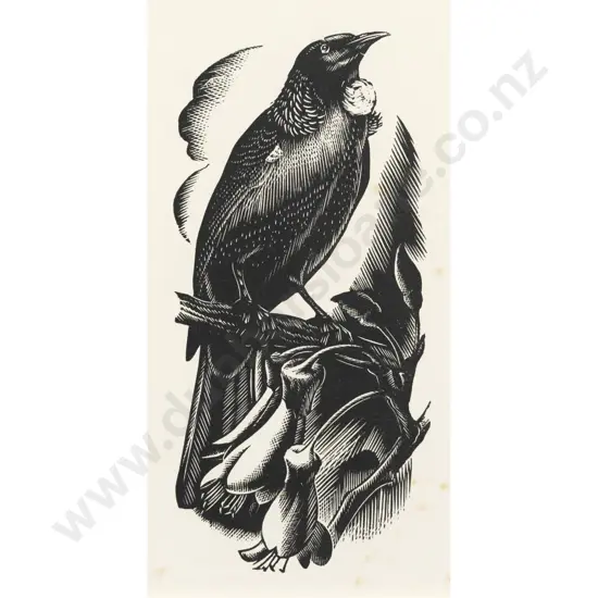 E Mervyn Taylor - Tui
