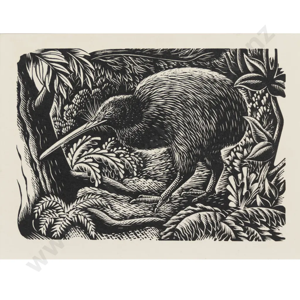 E Mervyn Taylor - Kiwi Image 1++