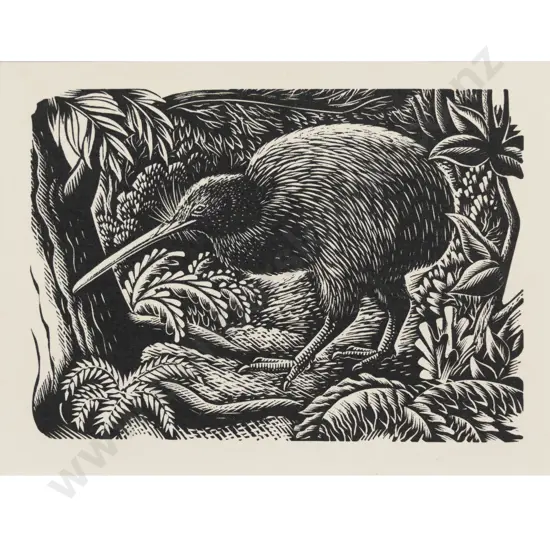 E Mervyn Taylor - Kiwi