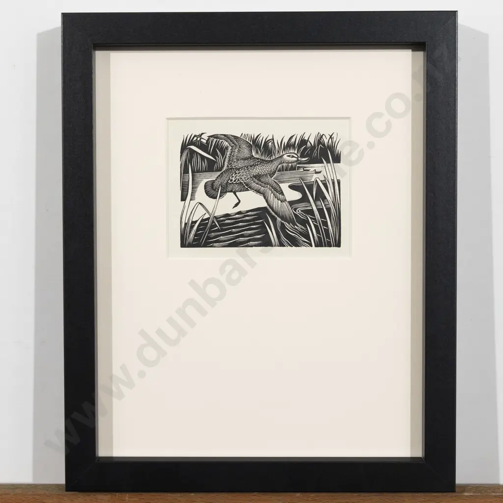 E Mervyn Taylor - Grey Duck Image 1++