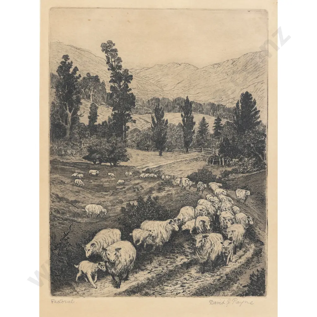 David Payne - Pastoral Image 1++