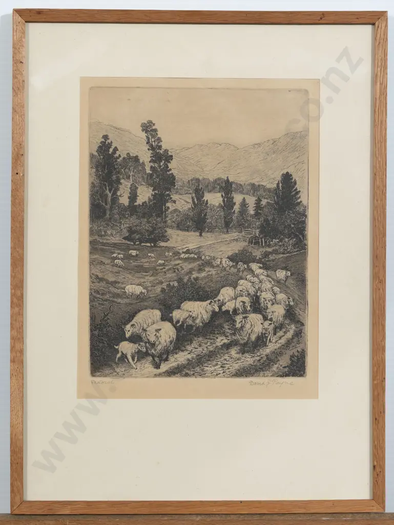 David Payne - Pastoral Image 1++