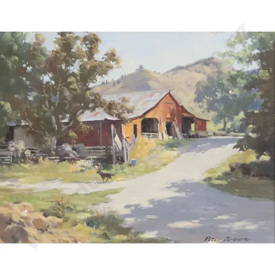Peter Brown - The Red Wool Shed