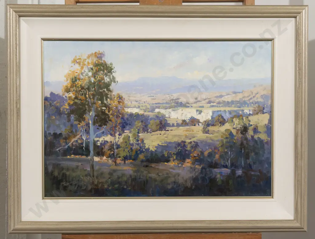 Ion Brown - Evening Shadows - Rangitikei Valley Image 1++