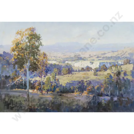 Ion Brown - Evening Shadows - Rangitikei Valley
