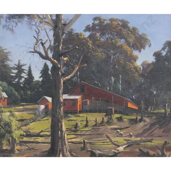 Peter Brown - Rough Paddock - Havelock North