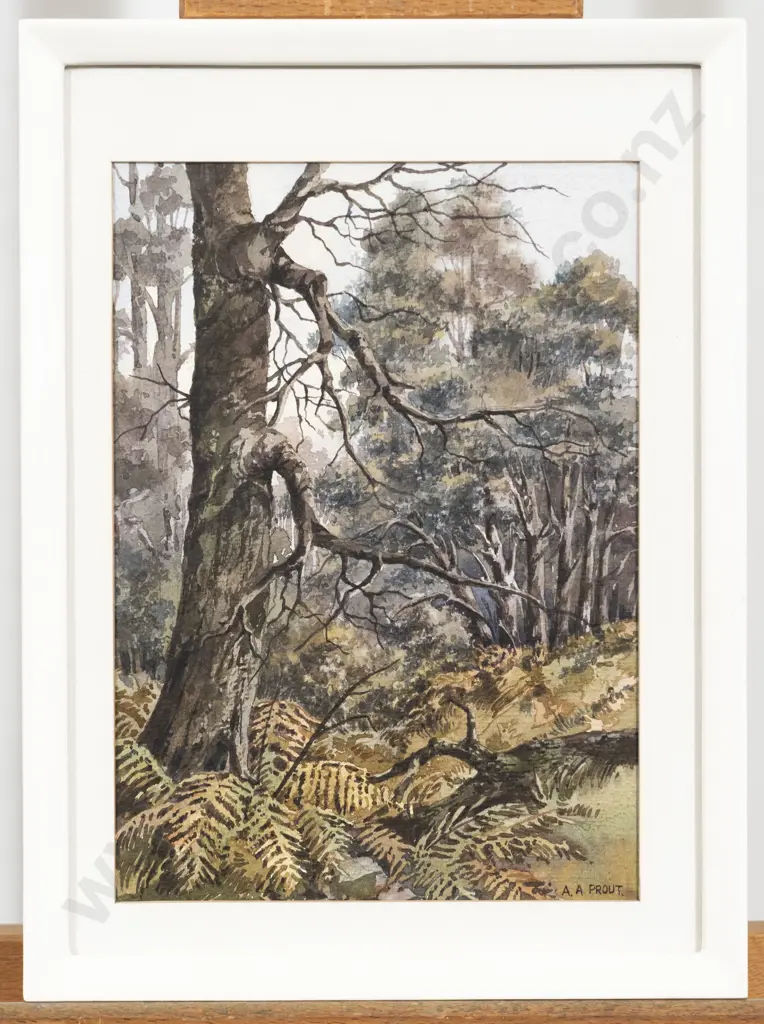 Anthony A Prout - Untitled Image 1++