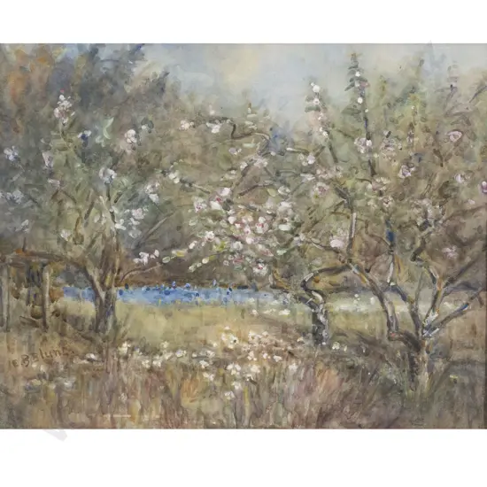 Edith Blanche Blunt - Spring Blossum (sic)
