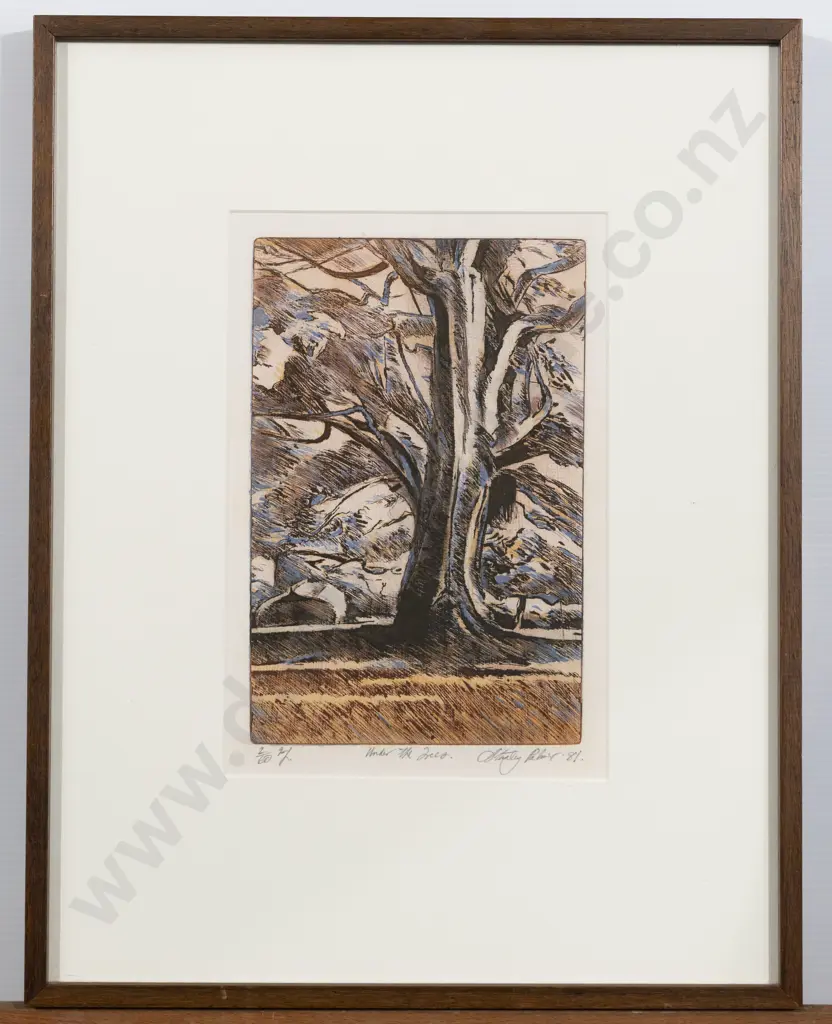 Stanley Palmer - Under the Trees Image 1++