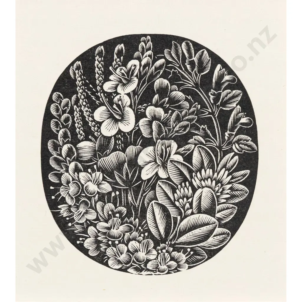E Mervyn Taylor - Bush Orchids Image 1++