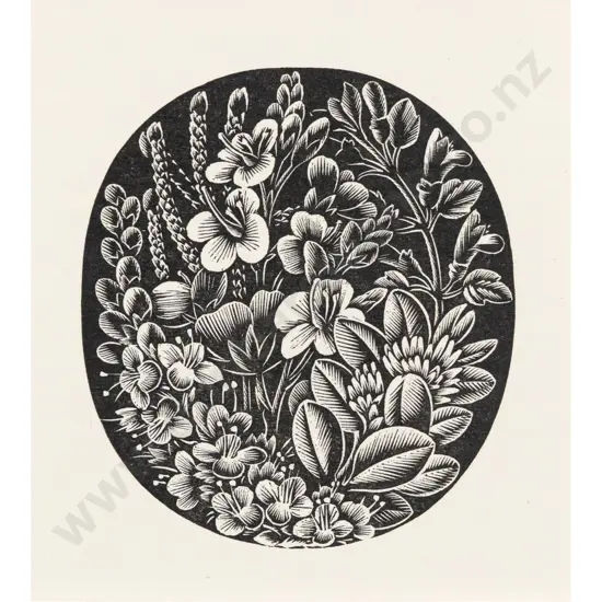 E Mervyn Taylor - Bush Orchids
