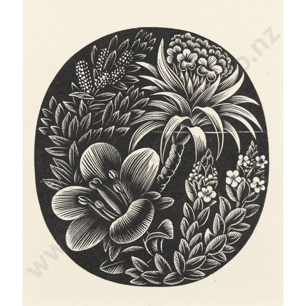E Mervyn Taylor - Bush Orchid Image 1++