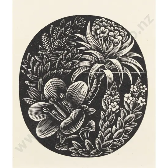 E Mervyn Taylor - Bush Orchid