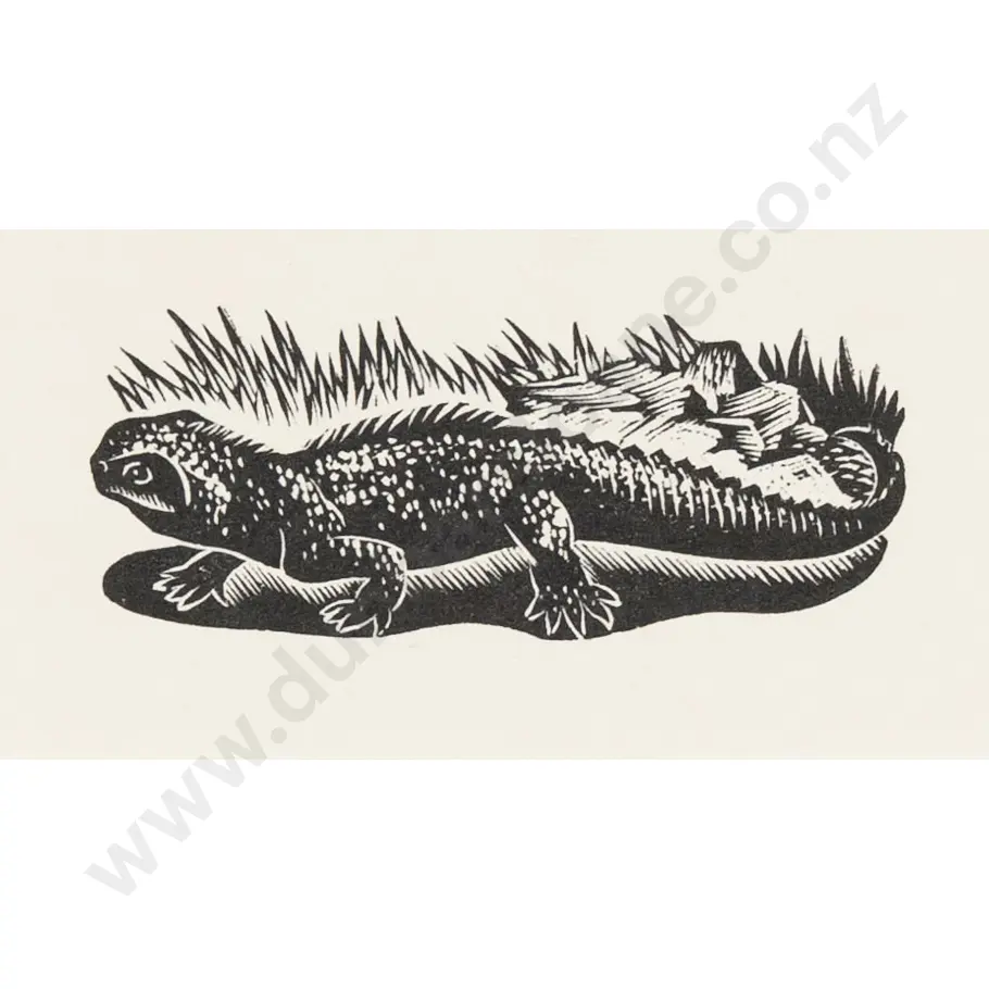E Mervyn Taylor - Tuatara Image 1++