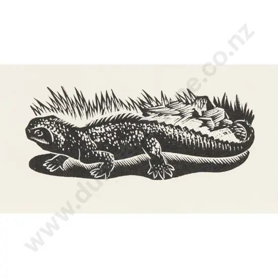 E Mervyn Taylor - Tuatara