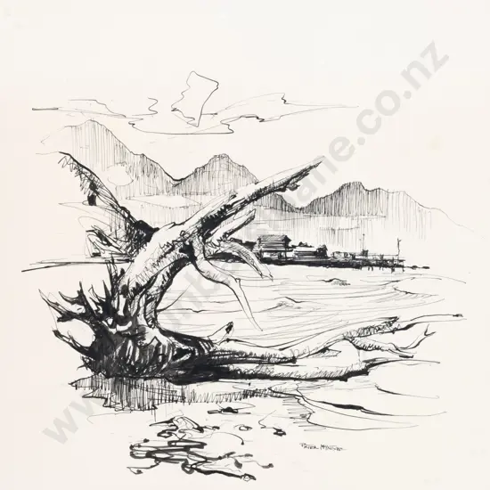 Peter McIntyre - Kaikoura