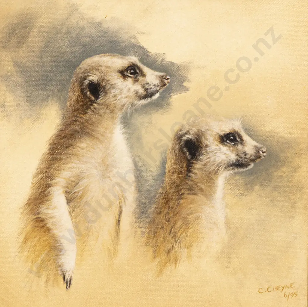 Colette Cheyne - Meerkats Image 1++