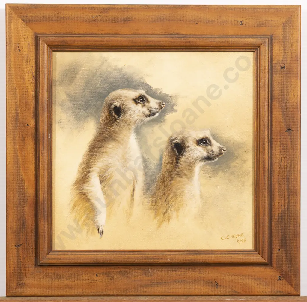 Colette Cheyne - Meerkats Image 1++