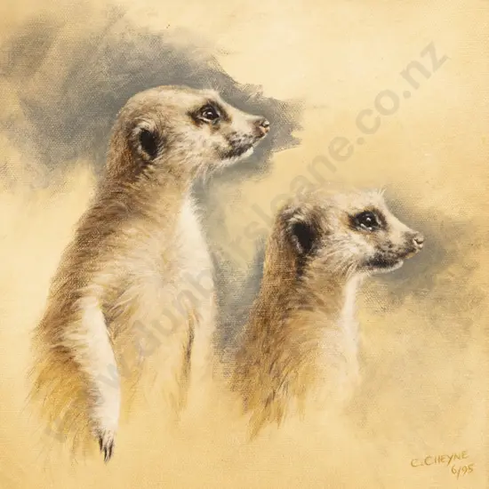 Colette Cheyne - Meerkats