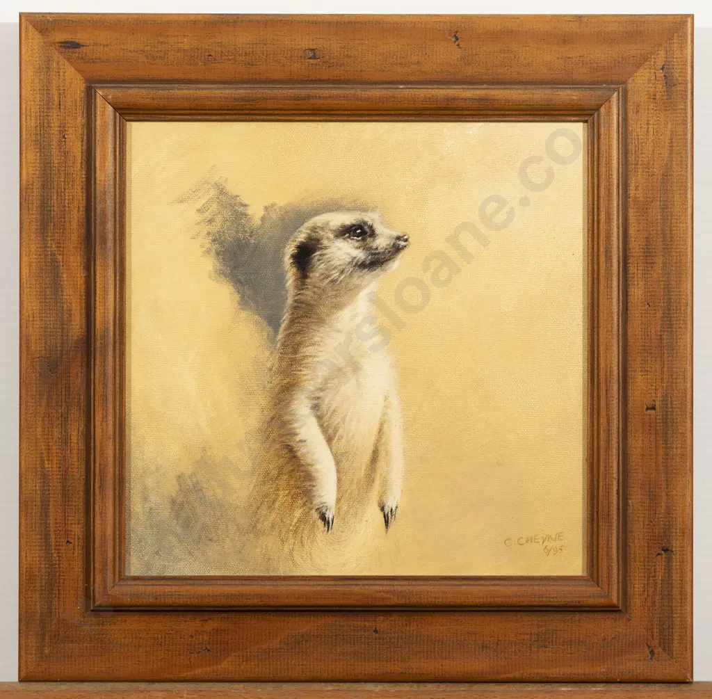 Colette Cheyne - Meerkat Image 1++