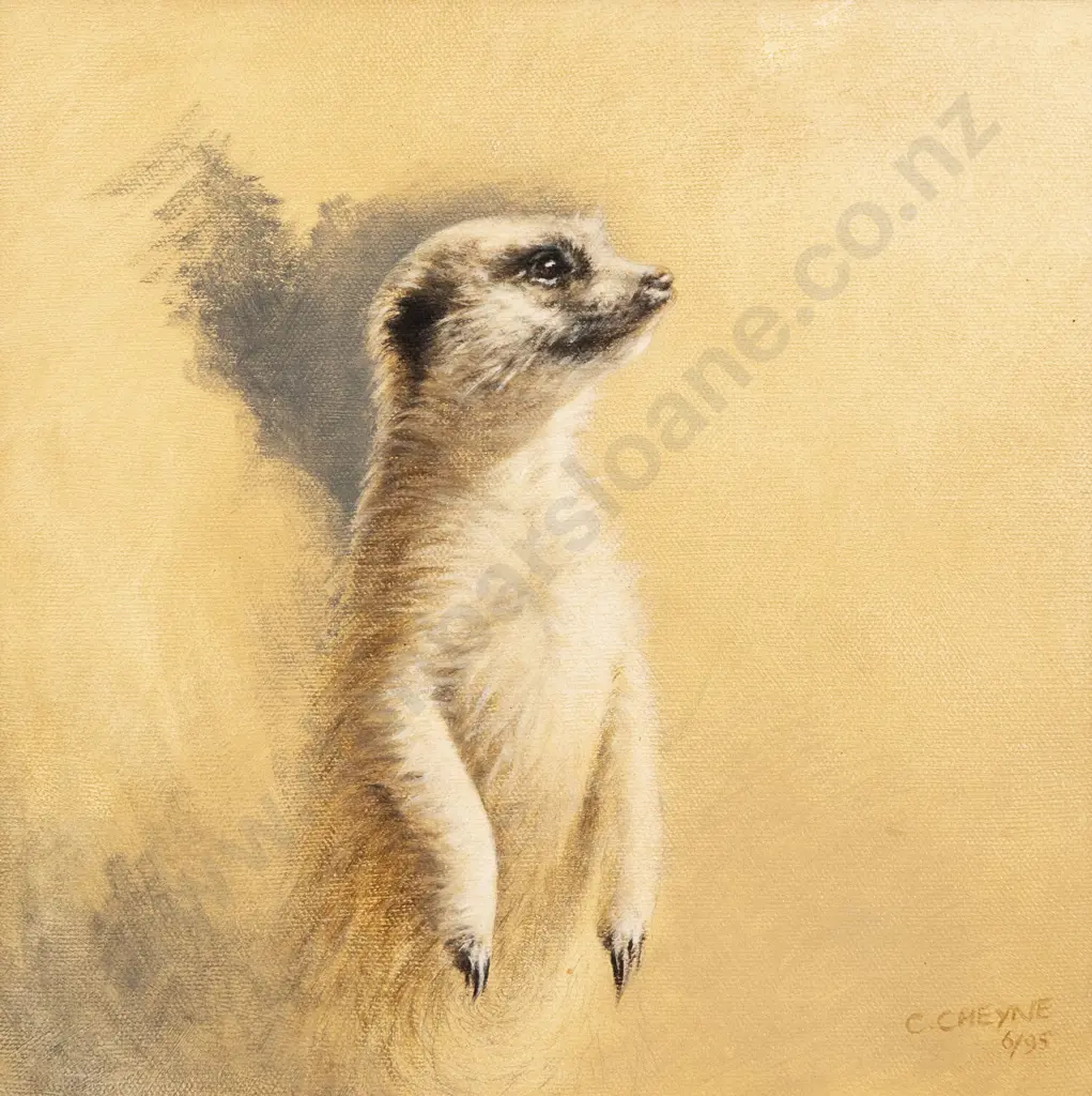 Colette Cheyne - Meerkat Image 1++
