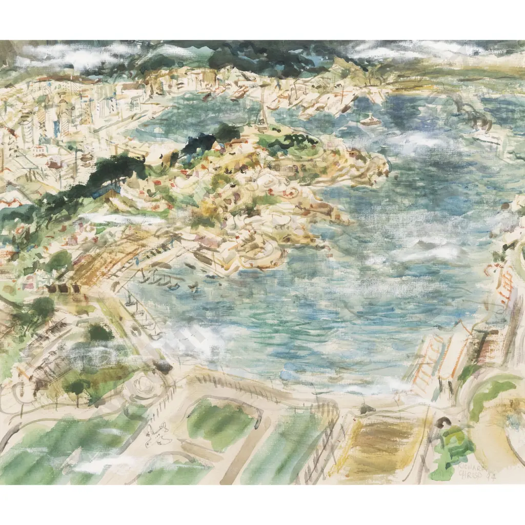 Richard Chrisp - Above Evans Bay Image 1++