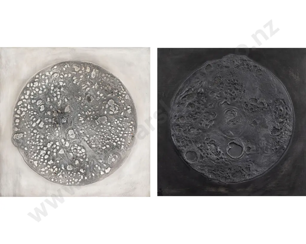 Tracey Matthewson - Orb I & II (Diptych) Image 1++