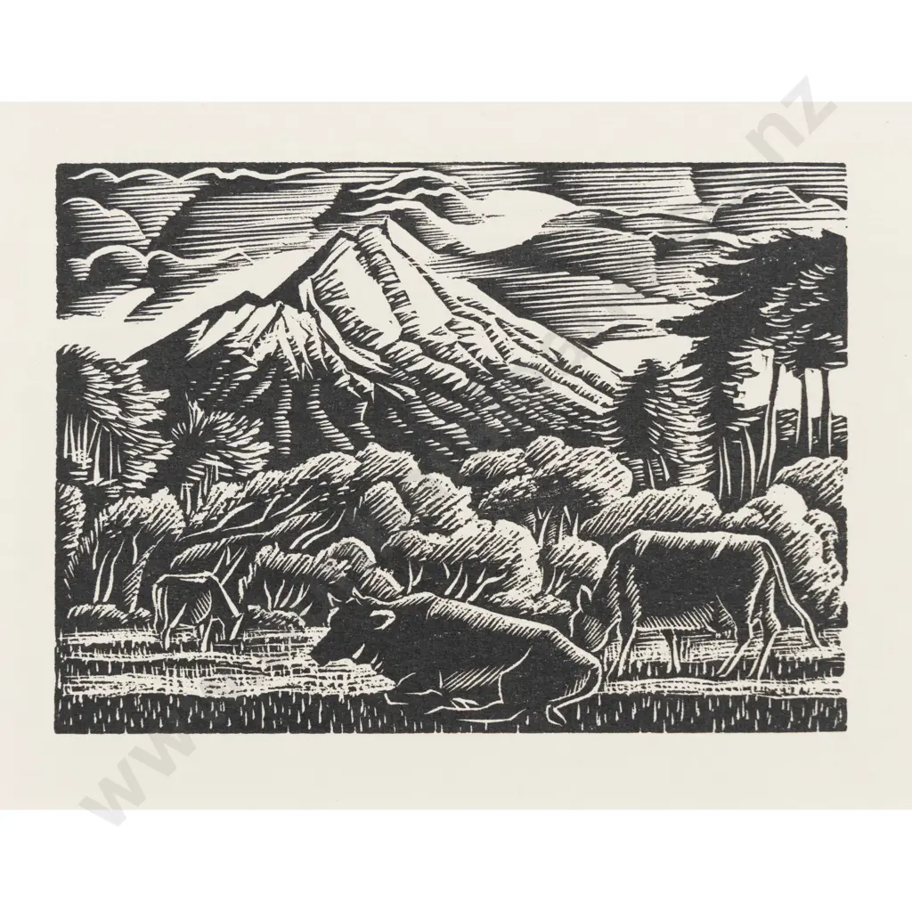 E Mervyn Taylor - Egmont Image 1++