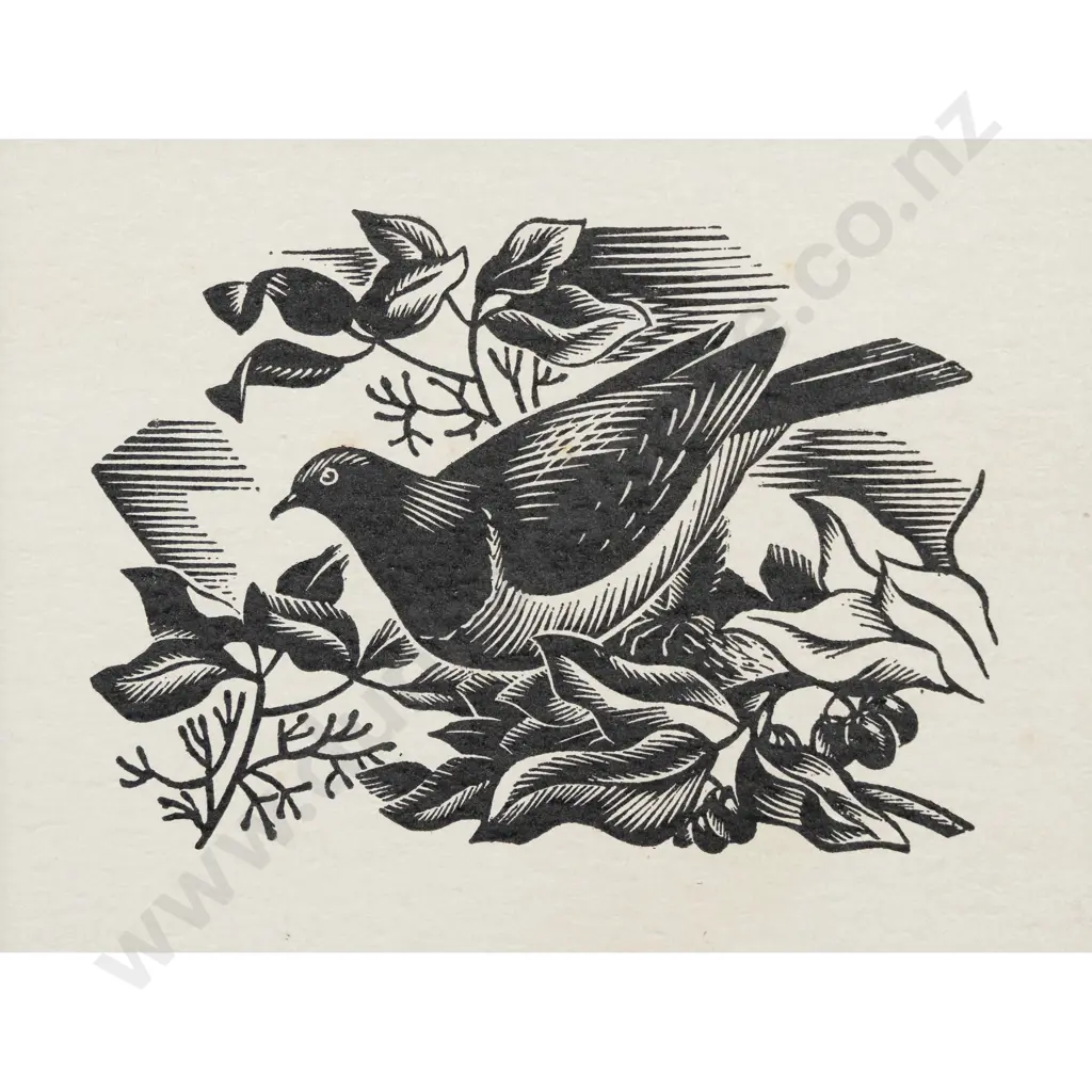 E Mervyn Taylor - Bush Pigeon Image 1++
