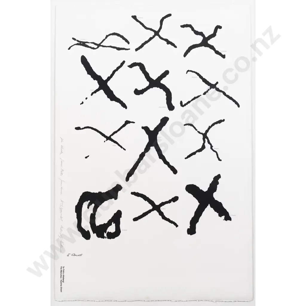 Max Hailstone - Te Tiriti O Waitangi (The Waitangi Sheet) Image 1++