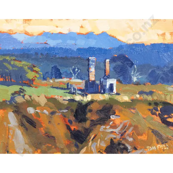 Tom Field - Waiuta - Grey Valley (Unframed)