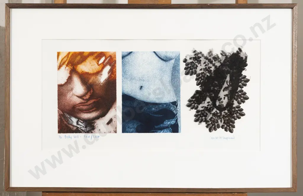 Carole M Shephard - Body Veil - Face/Lace Image 1++
