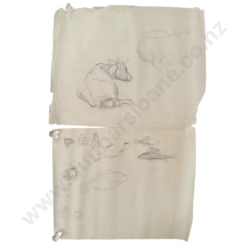 John Weeks (1888 - 1965) - 10 Assorted Sketchbook Studies Image 1++