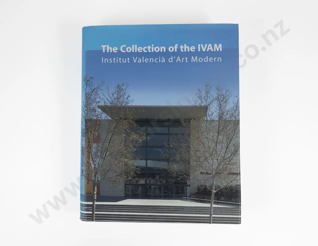 Generalitat Valenciana - The Collection of the IVAM (Insitut Valencià d'Art Modern) (English Text) Image 1++