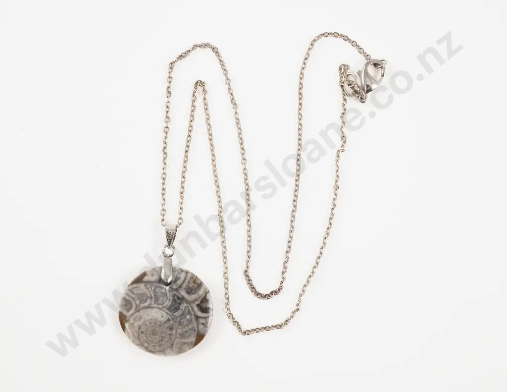 S/S Mounted Circular Fossil Pendant on S/S Neck Chain Image 1++