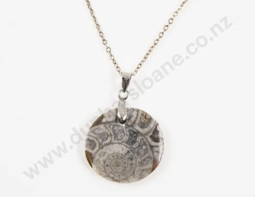 S/S Mounted Circular Fossil Pendant on S/S Neck Chain Image 1++