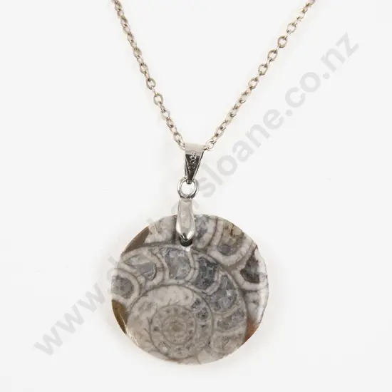 S/S Mounted Circular Fossil Pendant on S/S Neck Chain