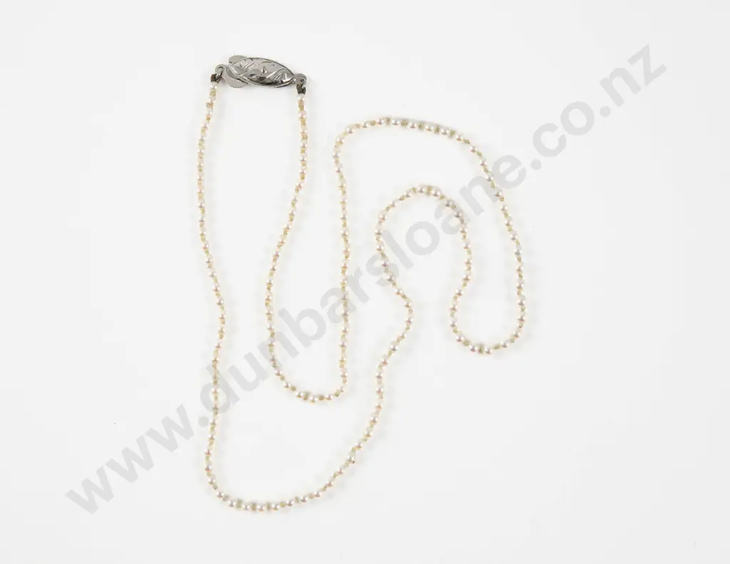Single Strand Uniform Freshwater Pearl Necklace Image 1++