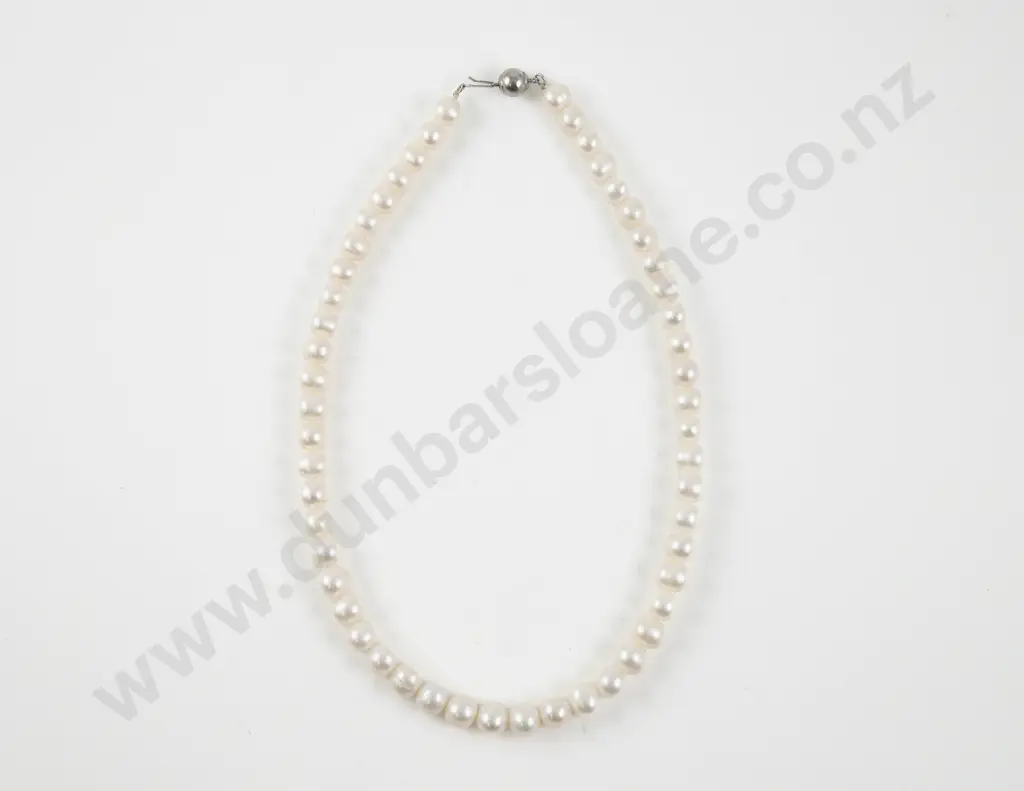 Single Strand Uniform Fresh Water Pearl Necklace Image 1++