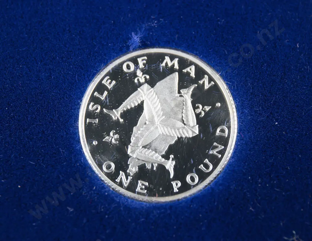 1978 Isle of Man One Pound Coin Silver Unc Image 1++