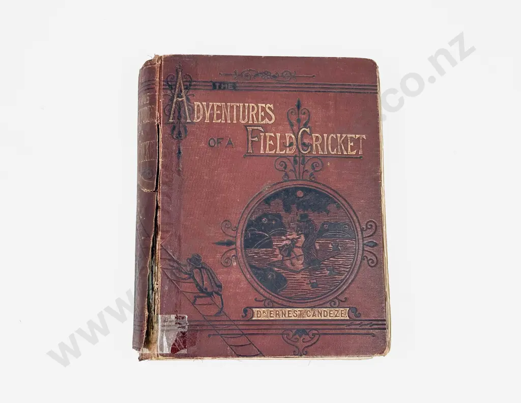 Dr Ernest Candeze - The Adventures of A Field Cricket 1878 Image 1++
