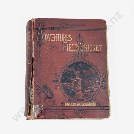 Dr Ernest Candeze - The Adventures of A Field Cricket 1878